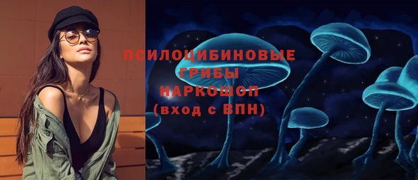 эйфоретик Белокуриха