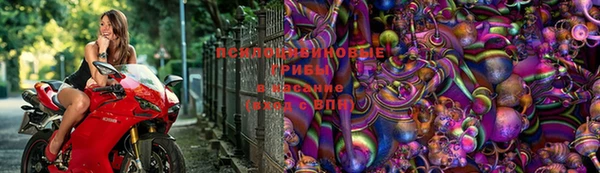 эйфоретик Белокуриха