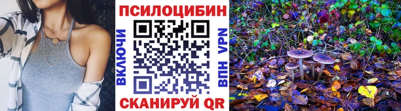 kraken ССЫЛКА  Ельня  Псилоцибиновые грибы мицелий 